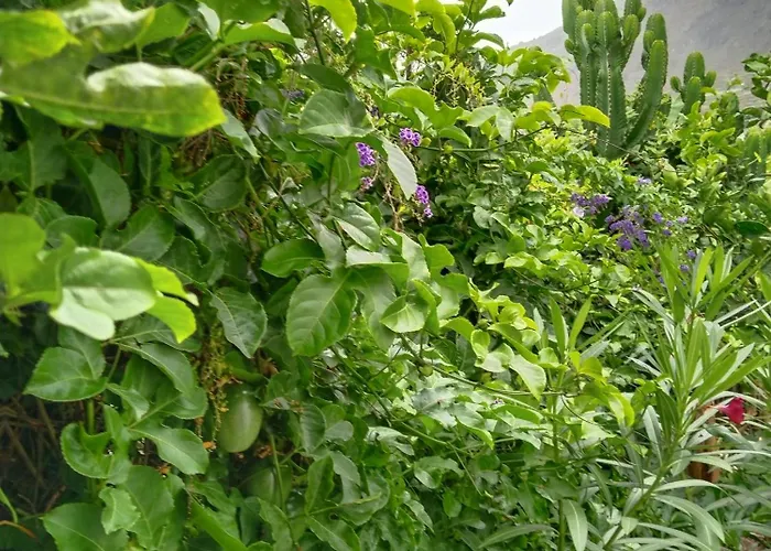 Happy * 가라치코